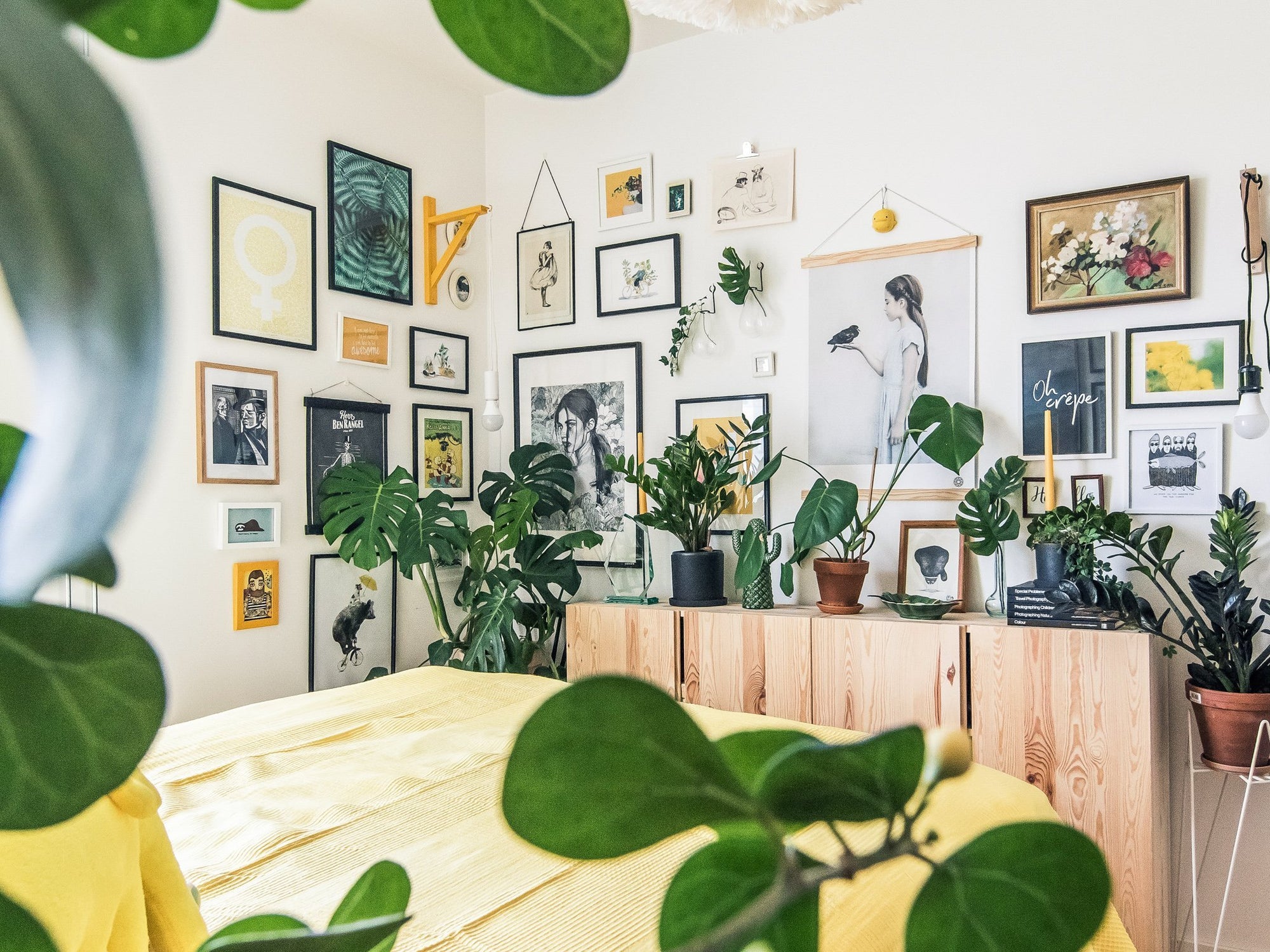 Gult och grönt hos Irene - Plantredo