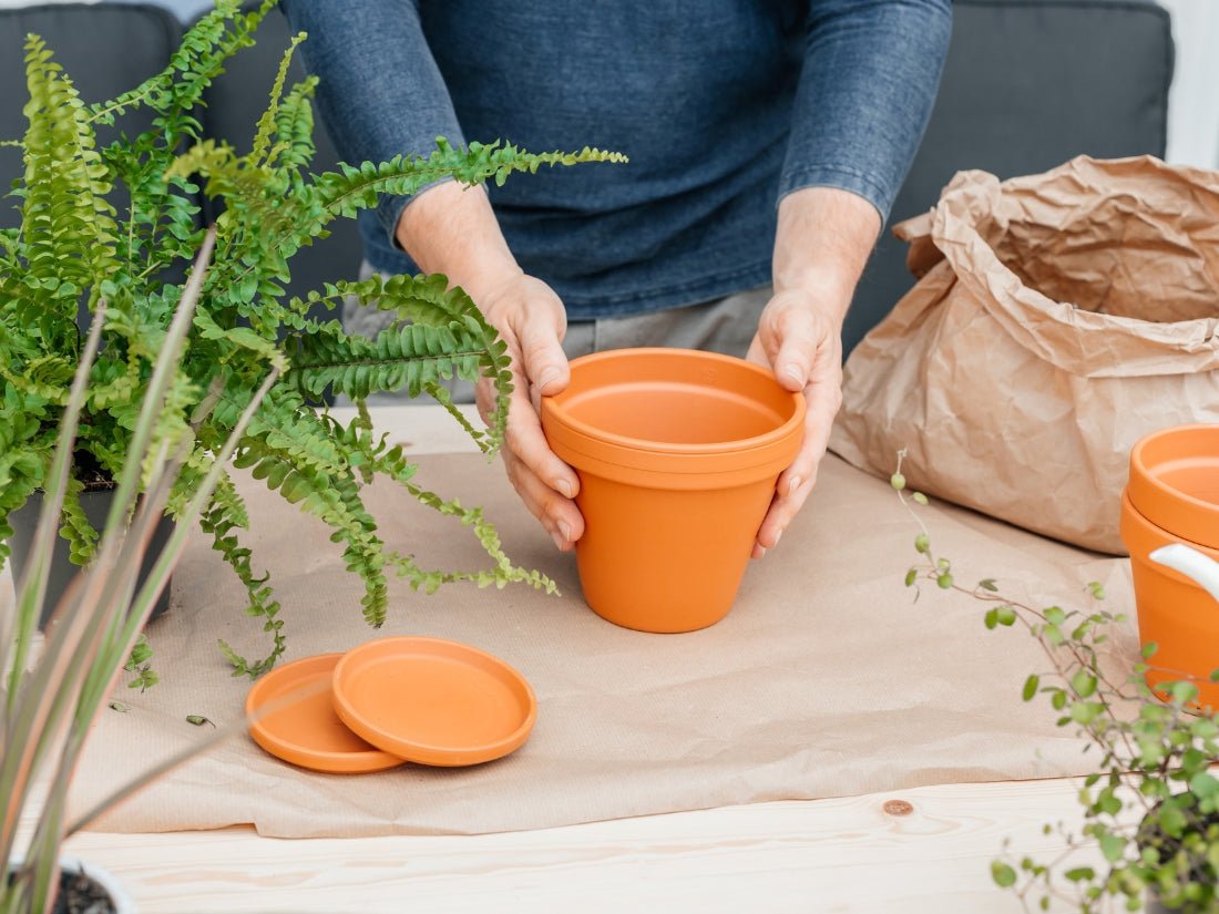 Ska du odla i kruka eller inte? - Plantredo