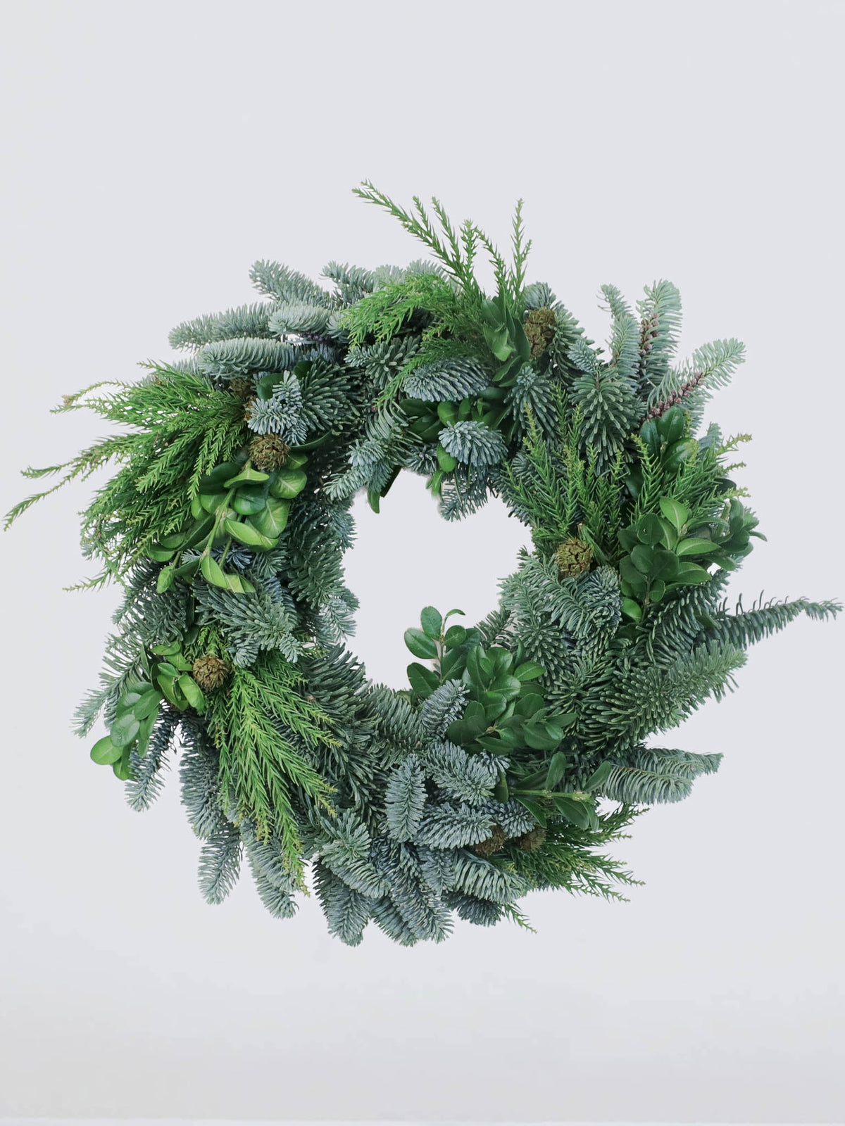 Julkrans grön - Plantredo