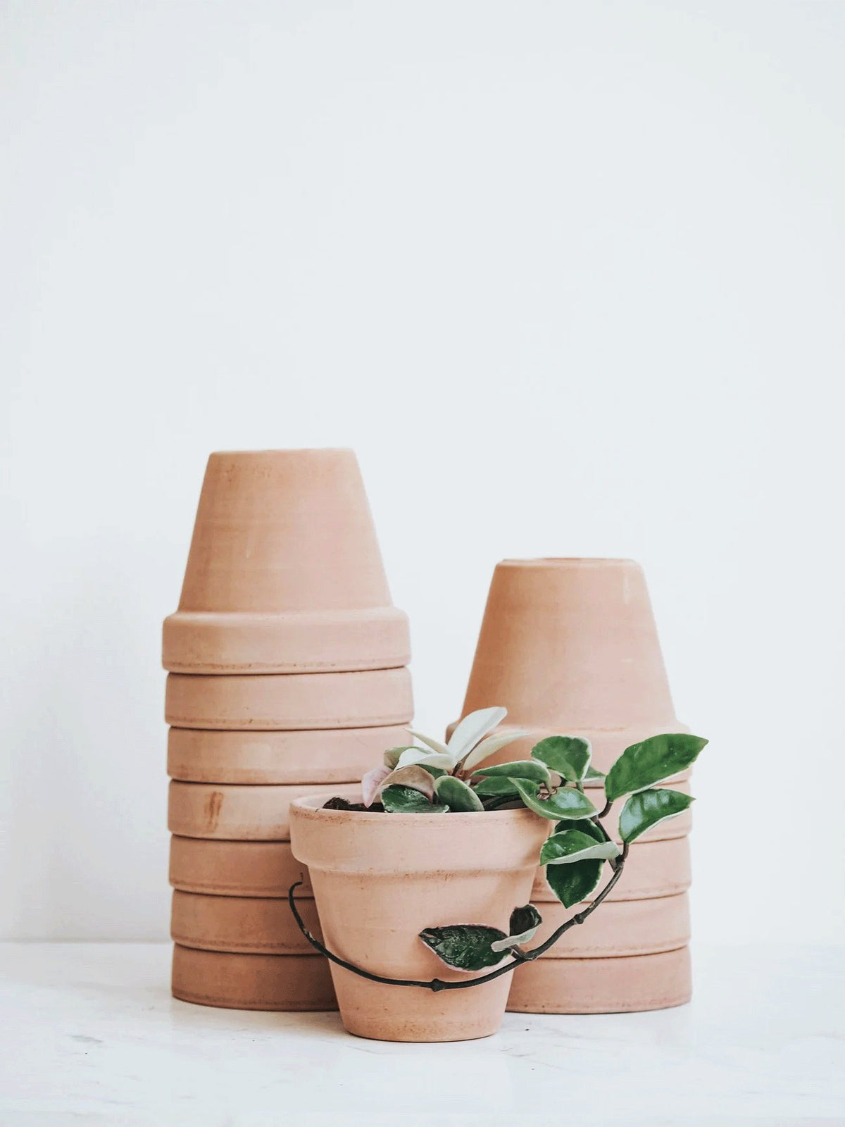 Kruka - Ø13cm - Plantredo