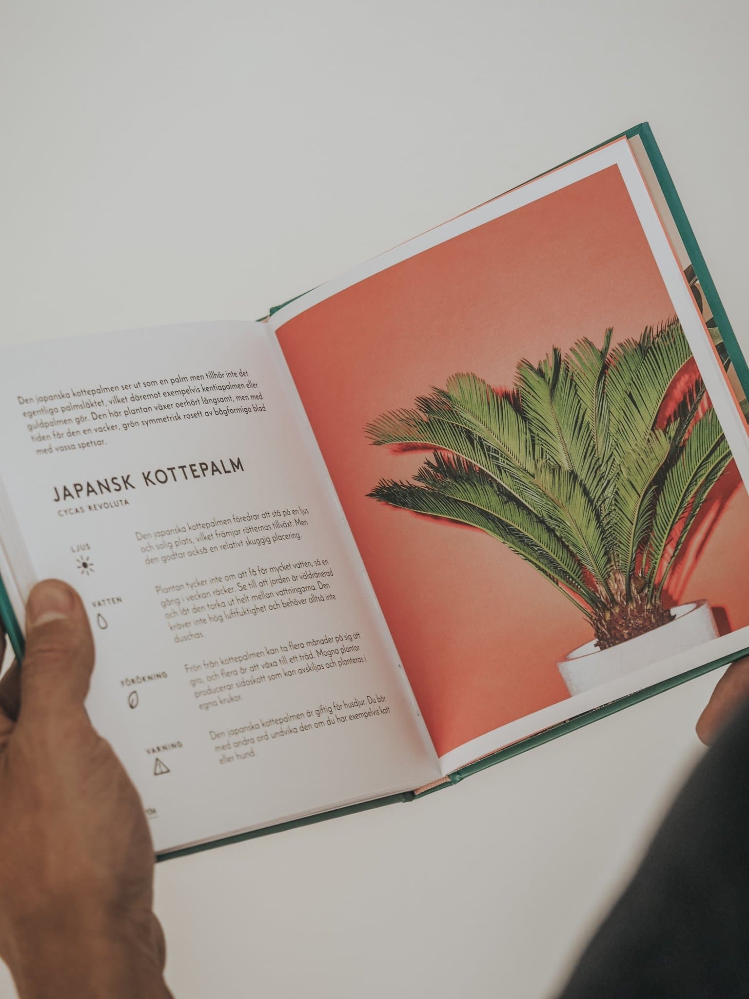 Lilla Plantboken - Djungelrummet