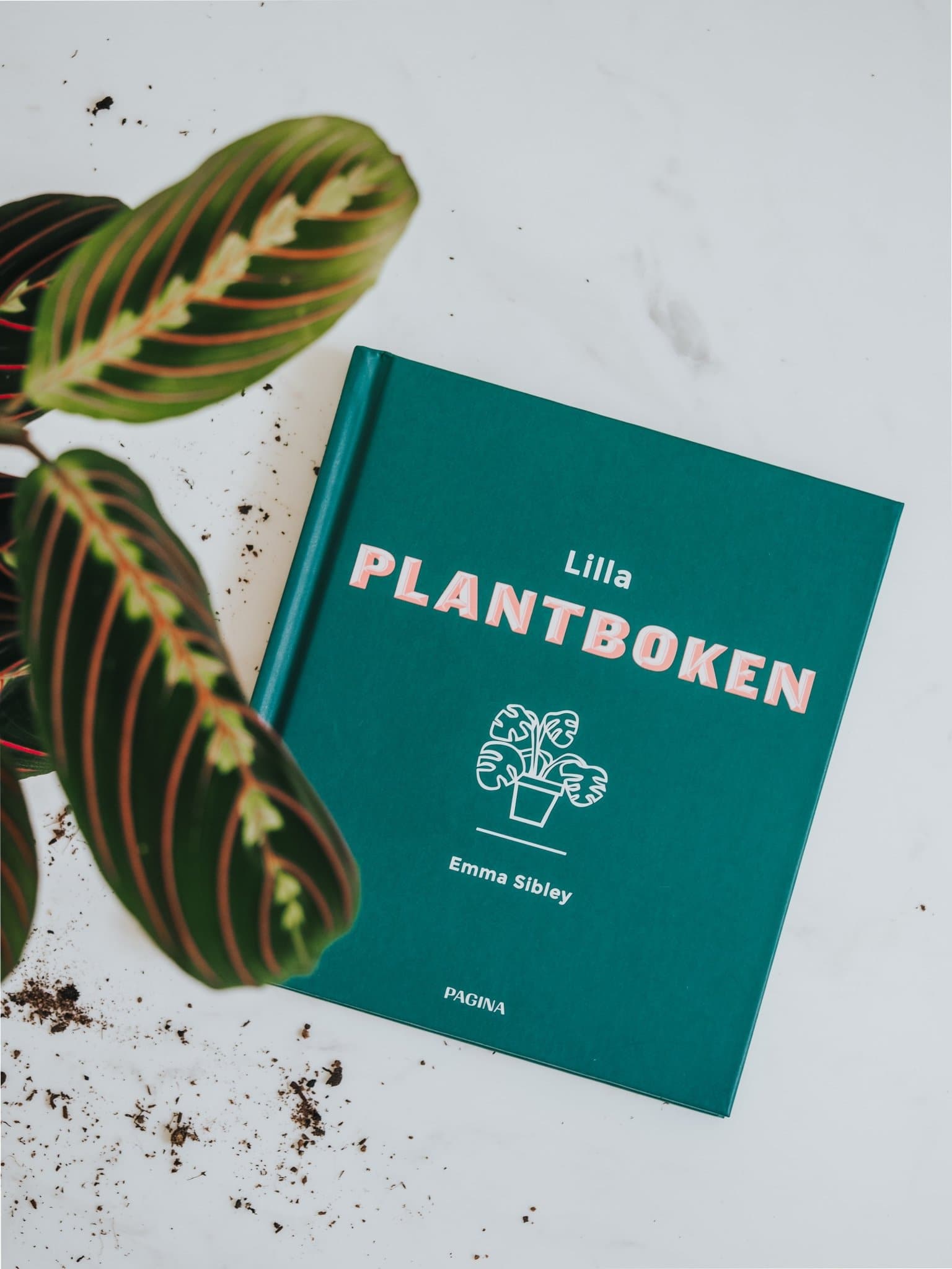 Lilla Plantboken - Djungelrummet