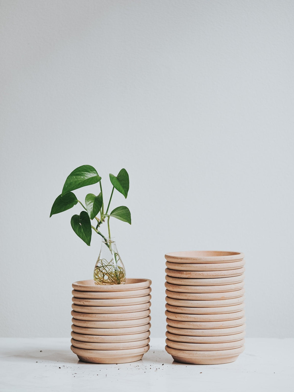 Ljust Fat - Ø11cm - Plantredo