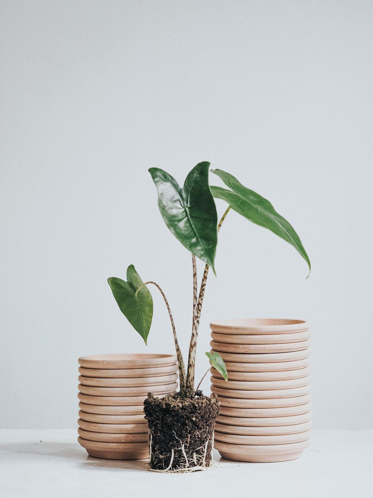 Ljust Fat - Ø15cm - Plantredo