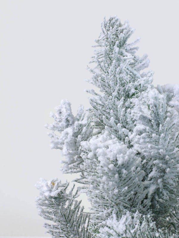 Pinea snö / Julgran med snö - Plantredo