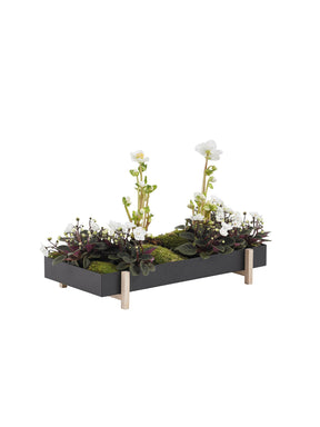 Botanic Tray, Box & Pot - Plantredo