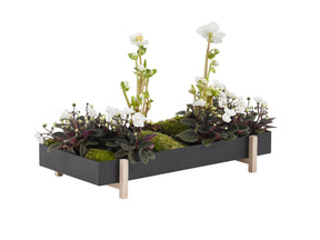 Botanic Tray, Box & Pot - Plantredo