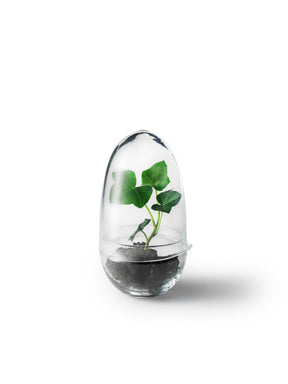 Grow Greenhouse - Plantredo