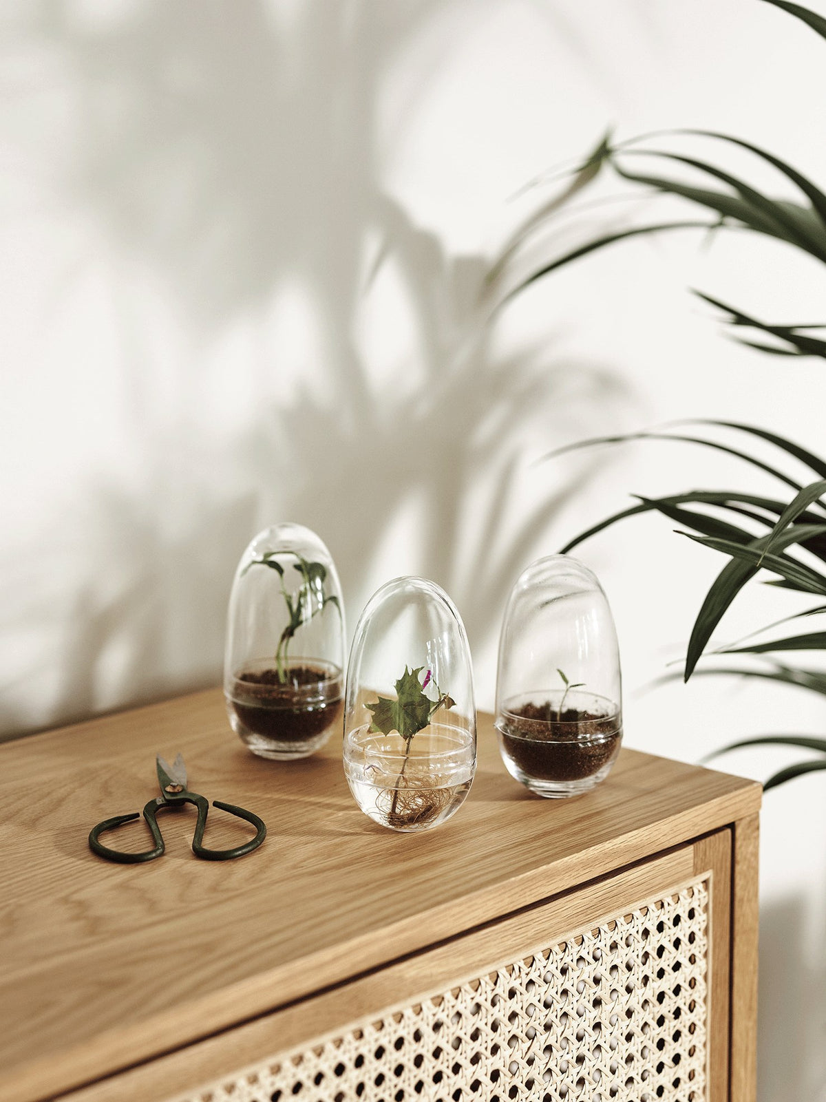 Grow Greenhouse - Plantredo