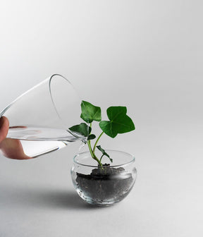 Grow Greenhouse - Plantredo