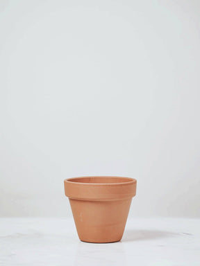 Kruka - Ø13cm - Plantredo