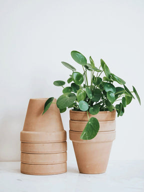 Kruka - Ø15cm - Plantredo