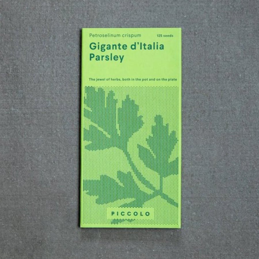 Persilja Gigante d'Italia fröer - Piccolo - Plantredo