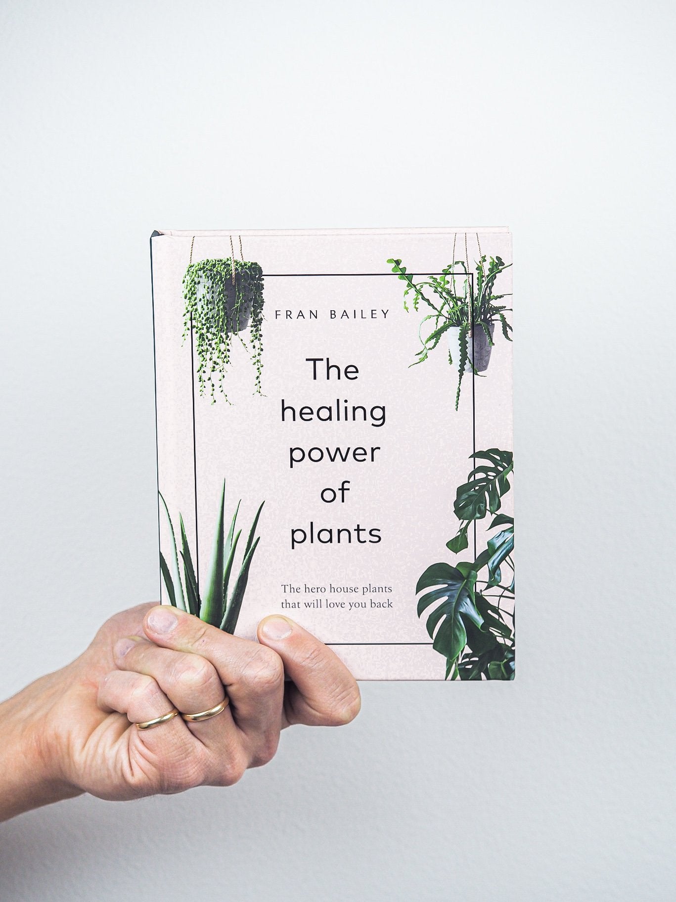 The healing power of plants - Plantredo