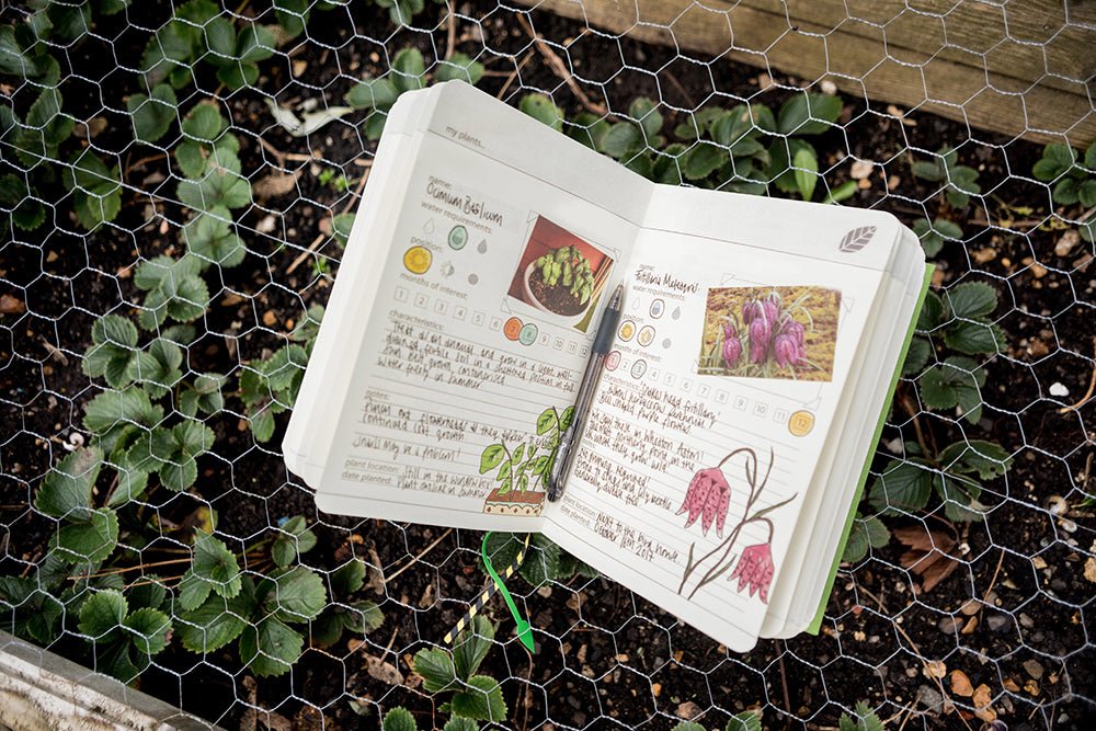 Trädgårdsdagbok Grön - Plantredo